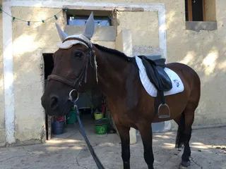 Equestrian Center D'eygalières