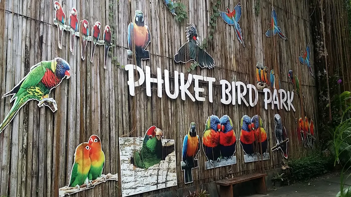Phuket Bird Park