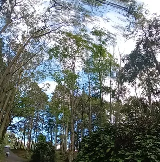 Parque del Este