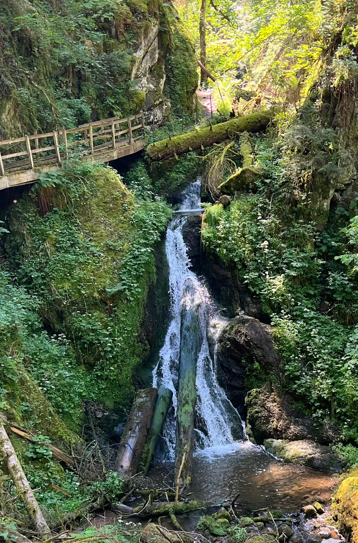 Wutachschlucht