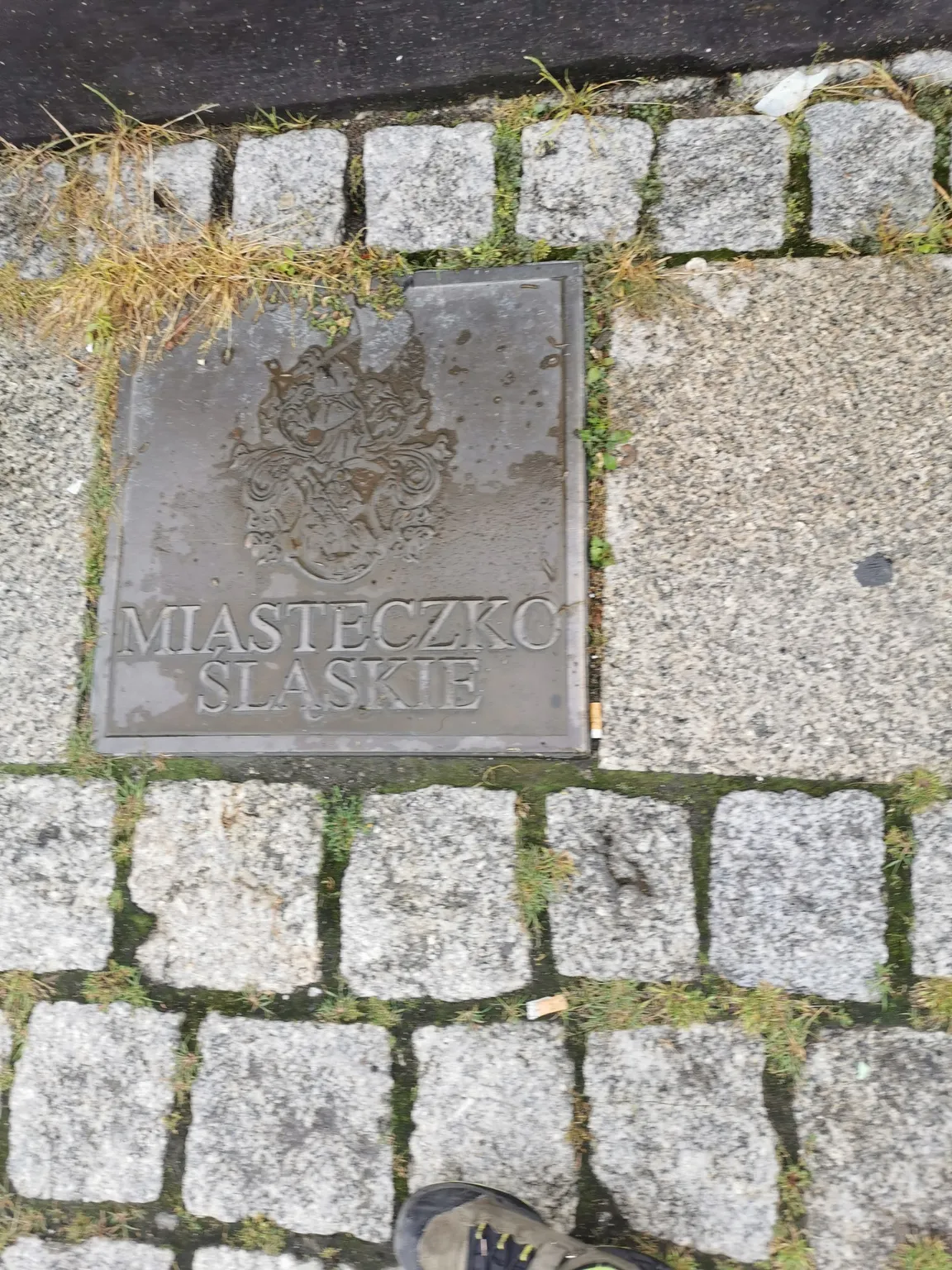 Rynek