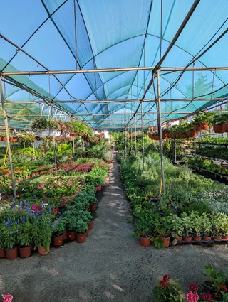 London Home & Garden