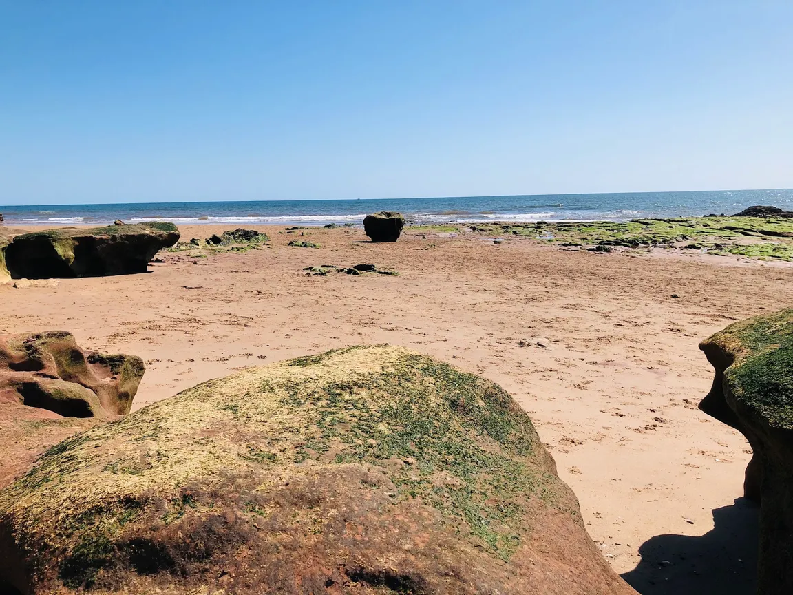 Orcombe Point
