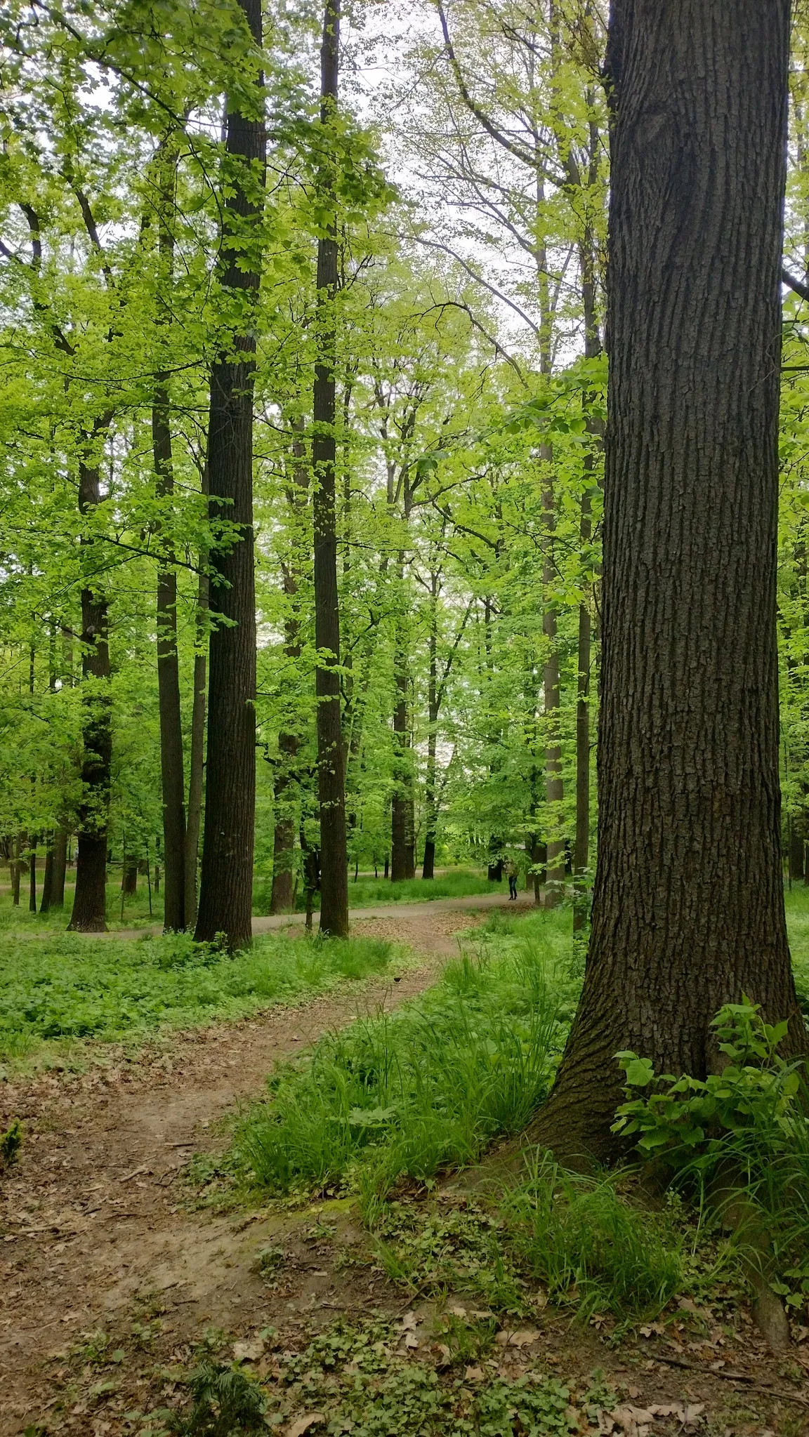 Park Młodzieżowy