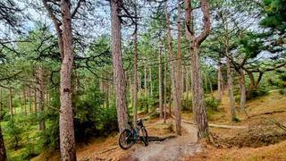 MTB Spor (Mountainbike trail)