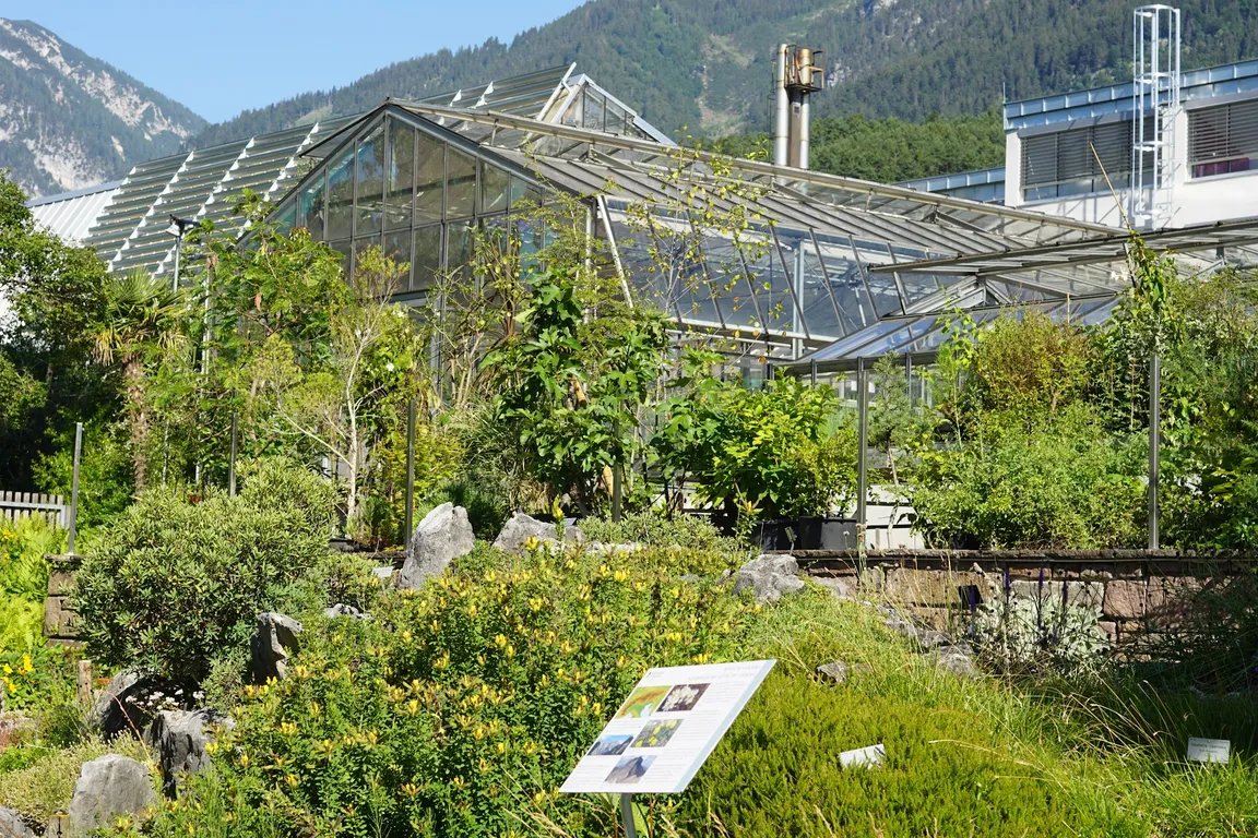 Innsbruck University Botanical Garden