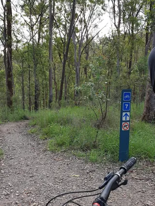 Rocket Frog Trail