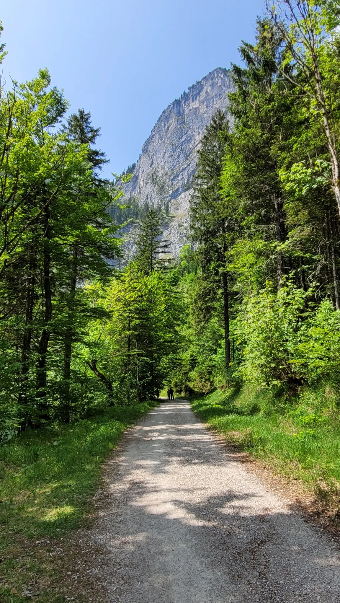 Hinterer Langbathsee Trail