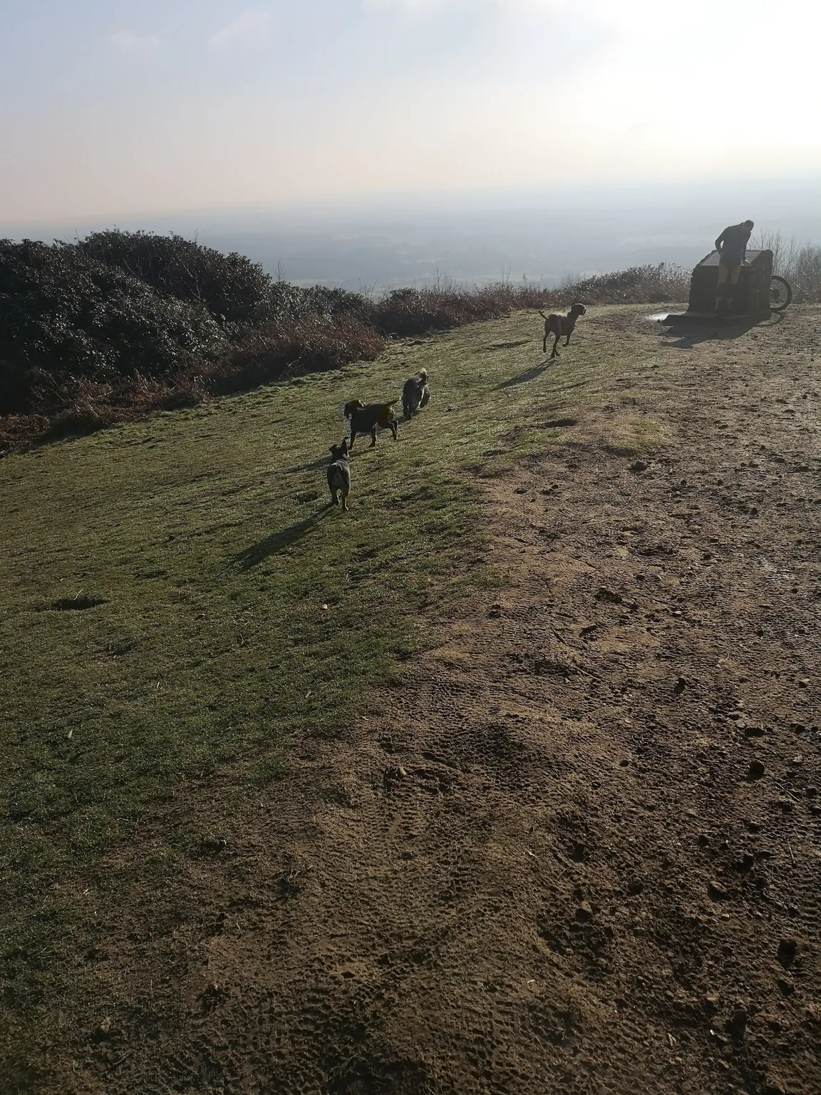 Holmbury Hill