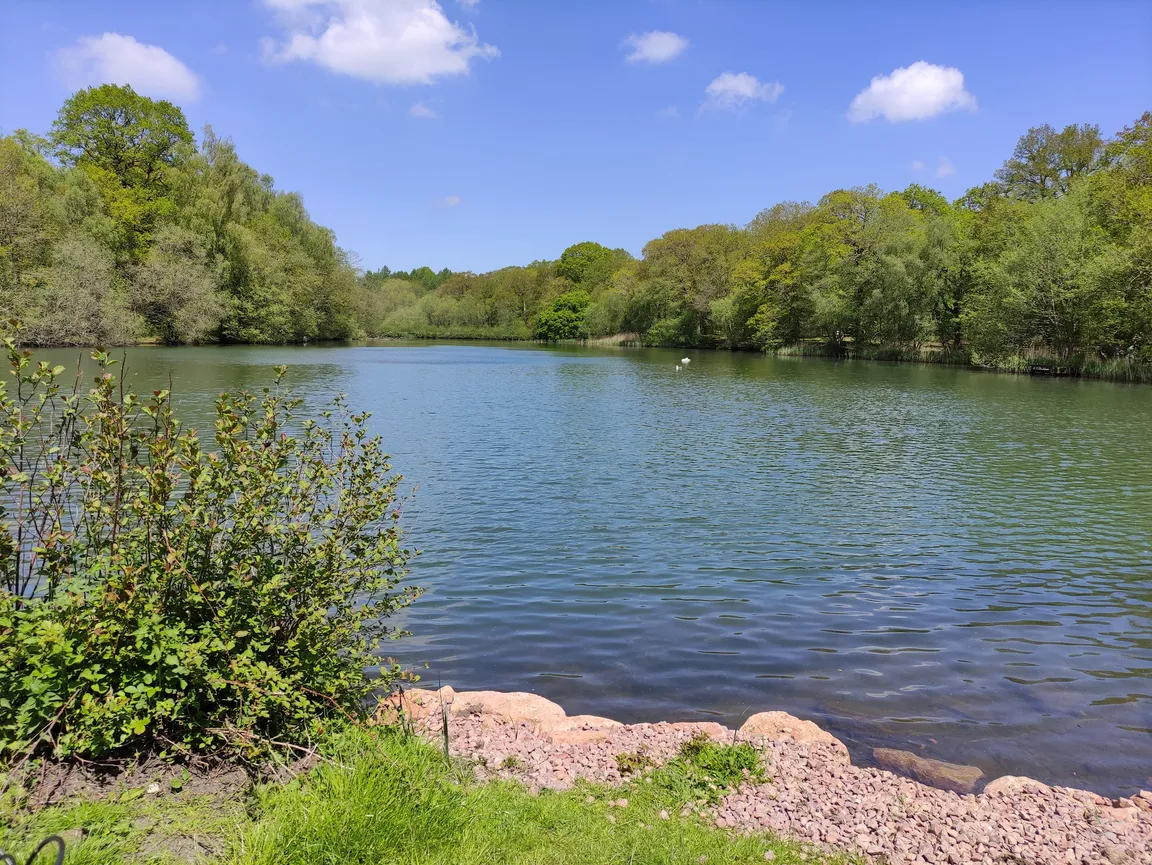 Cannop Ponds - Forestry England