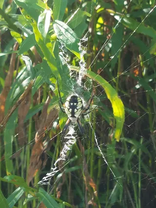 Mass Audubon's Lime Kiln Farm Wildlife Sanctuary