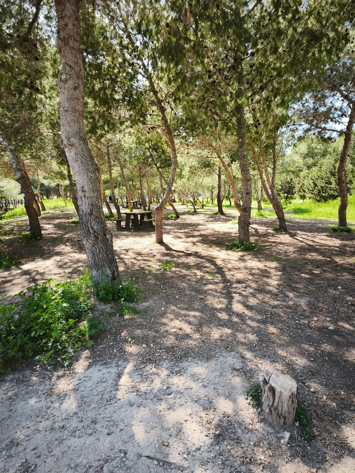 Salina National Park