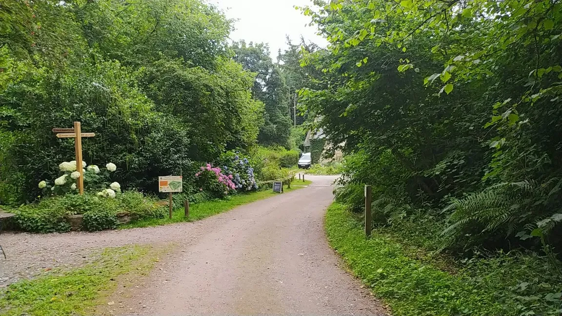 National Trust - Fyne Court