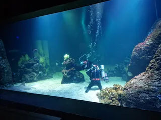 Universeum