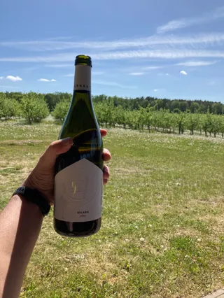 Winnica Turnau