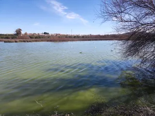 Reserva Natural de la Laguna de Fuente de Piedra