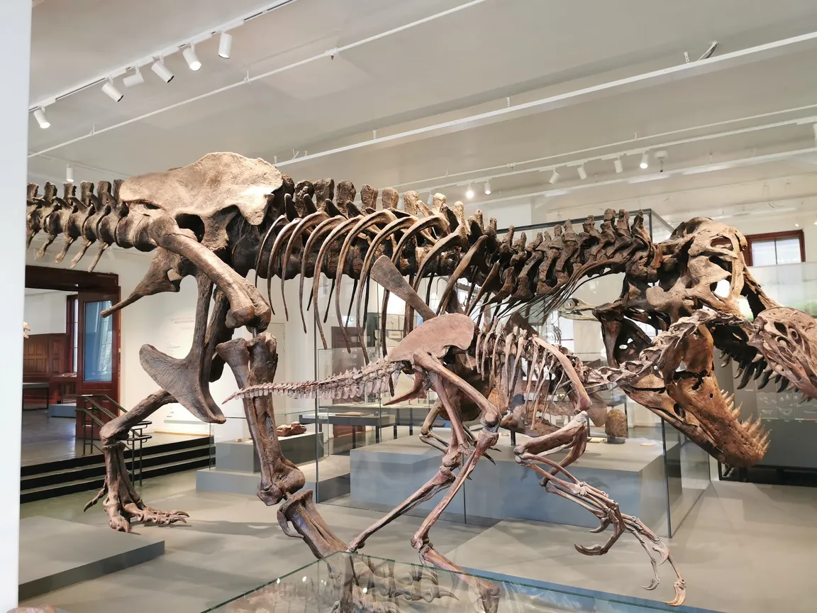Naturhistorisk museum