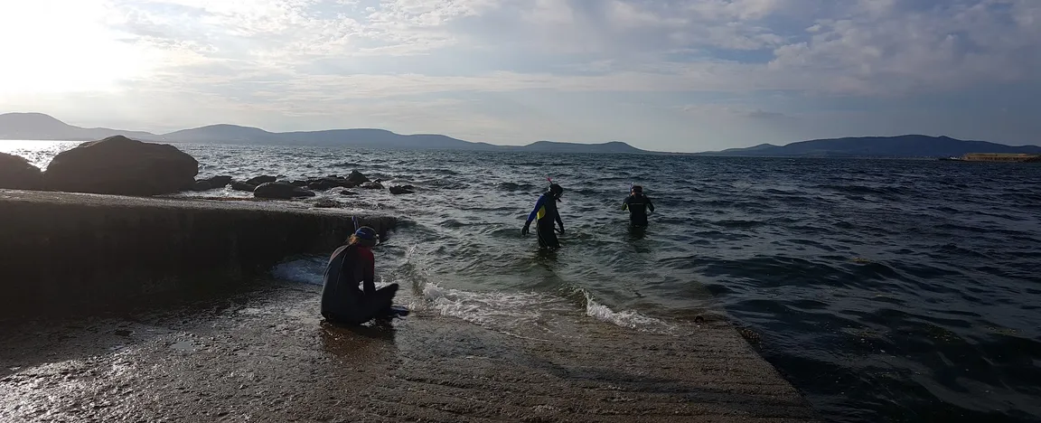 Sea Synergy Marine Awareness Centre | Waterville Things to do