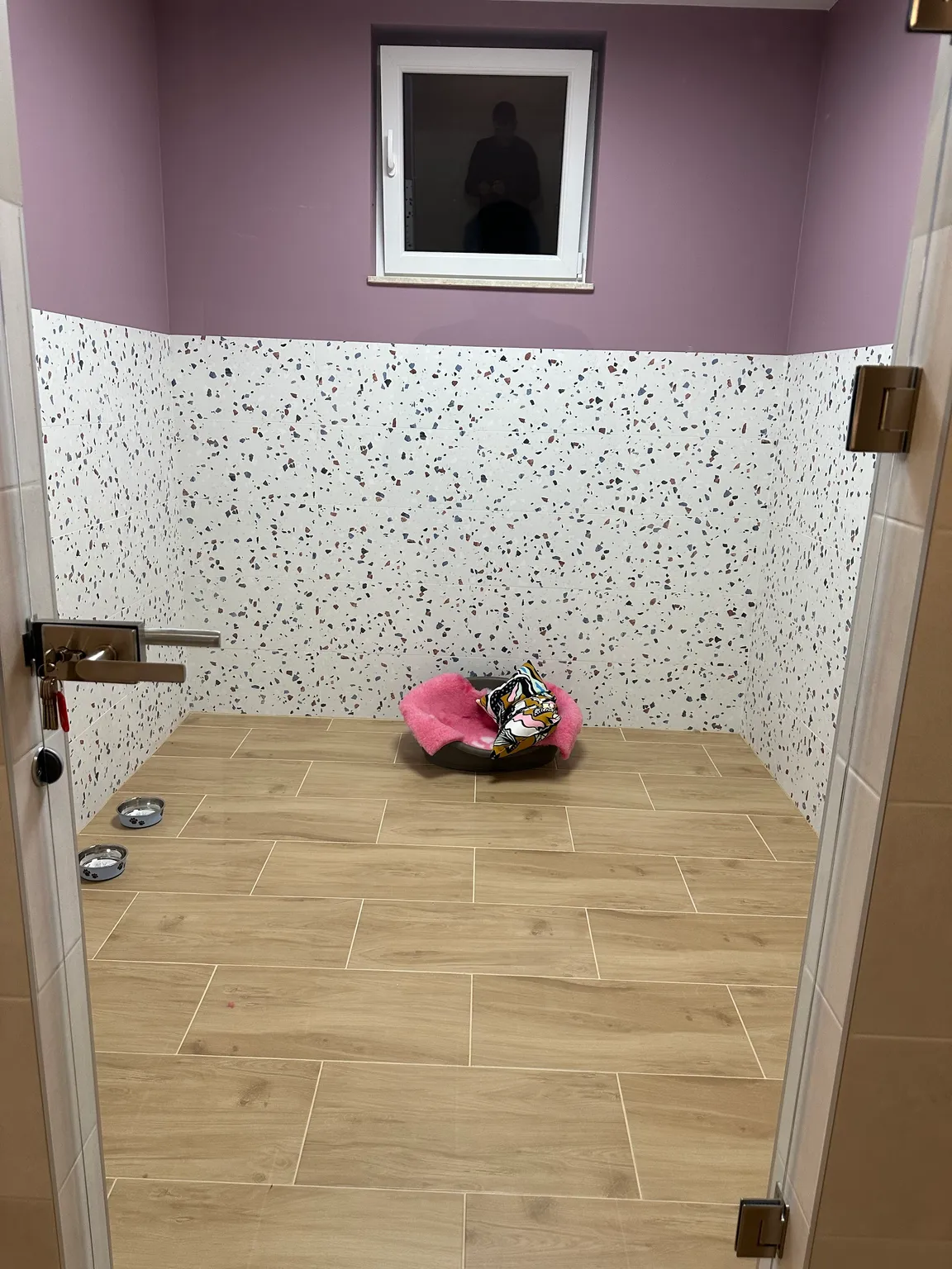 Hotel dla psów i kotów Nadarzyn