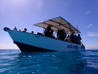 Subsurface Fiji