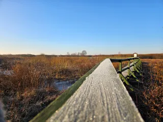 Kamień Leśnika