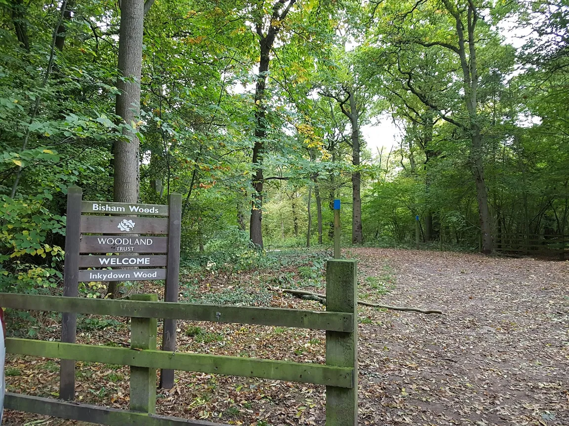 Bisham Woods