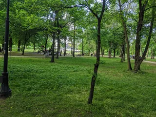 Park Miejski