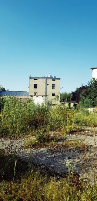 Fabryka Garbarska Temler i Szwede w Warszawie