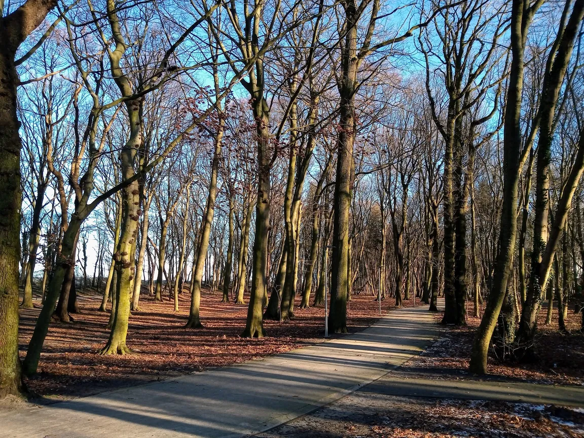 Park im. Stefana Żeromskiego
