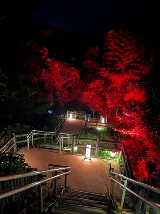 Nijigen no Mori x Kimetsu no Yaiba “Night Walk Natagumoyama”