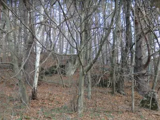 Ruiny bunkrów