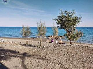 Dasoudi