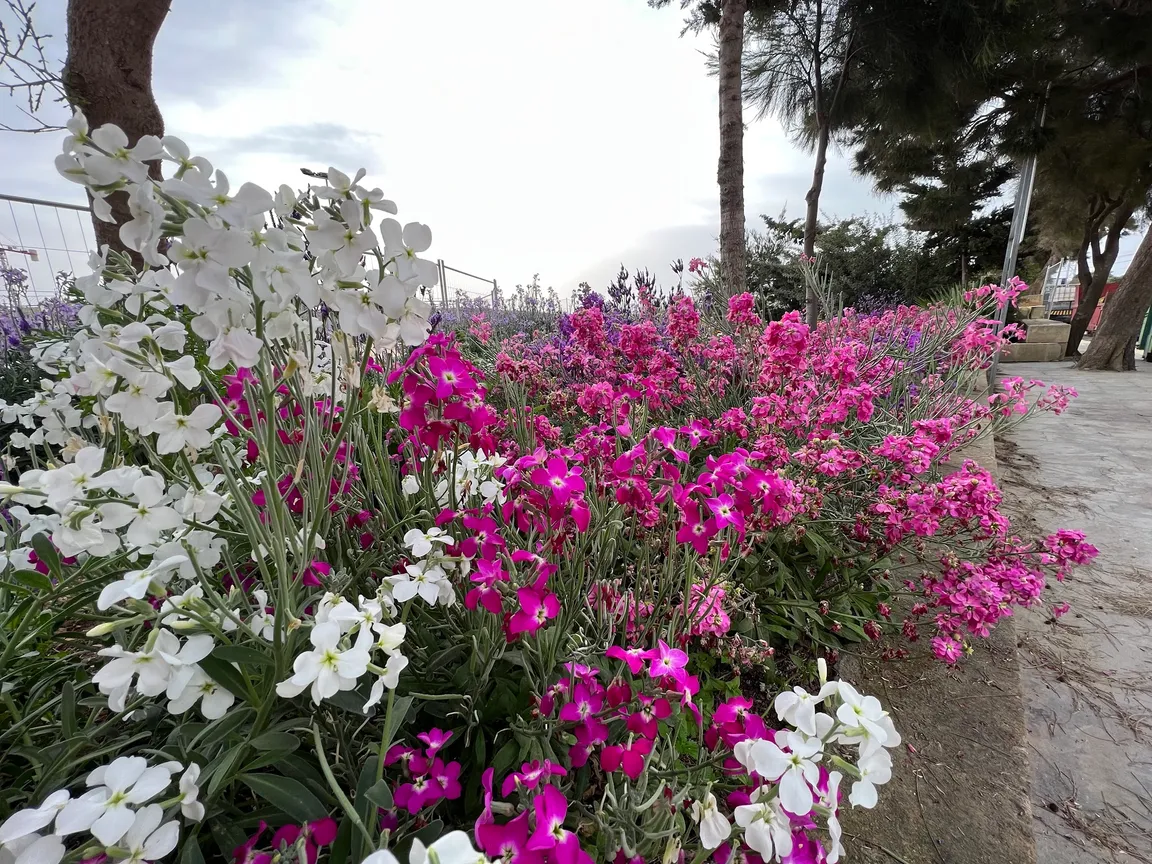 Għarb Playground