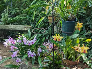 USF Botanical Gardens
