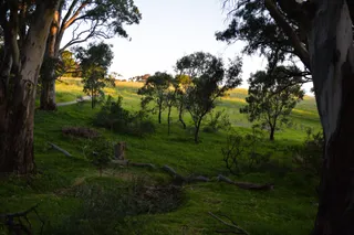 Glenthorne National Park — Ityamaiitpinna Yarta