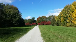 Arboretum Main-Taunus