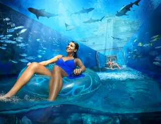 Park wodny Aquaventure