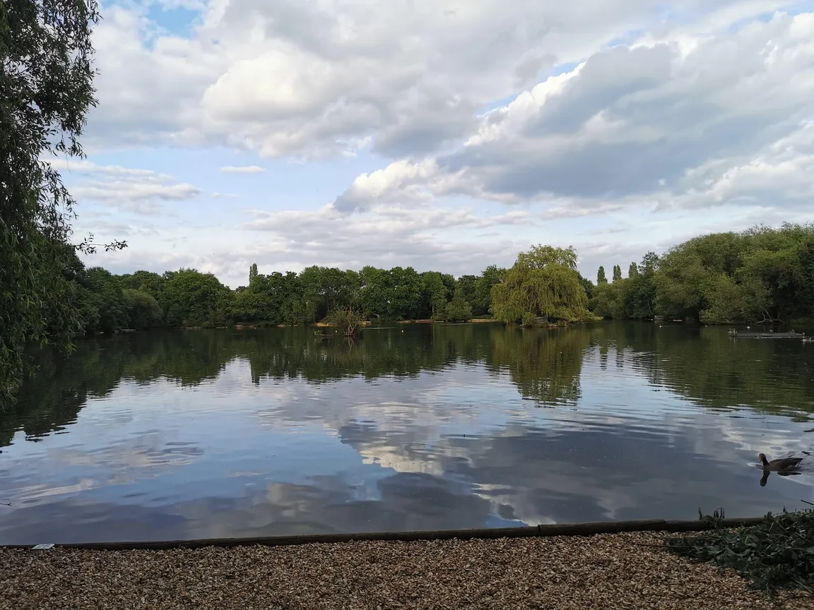 Whitmoor Common