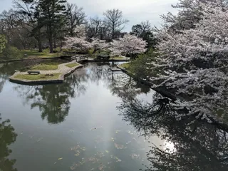 Japanese Garden at Roger Williams Park
