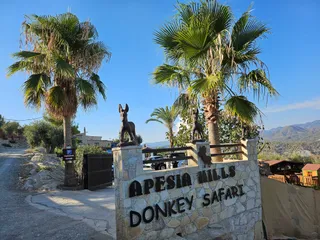 Apesia Hills Donkey Riding Park