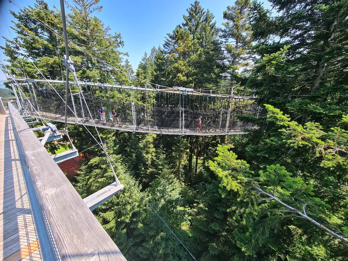 Waldwelt Skywalk Allgäu