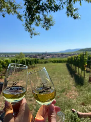 Wines of Alsace HORCHER