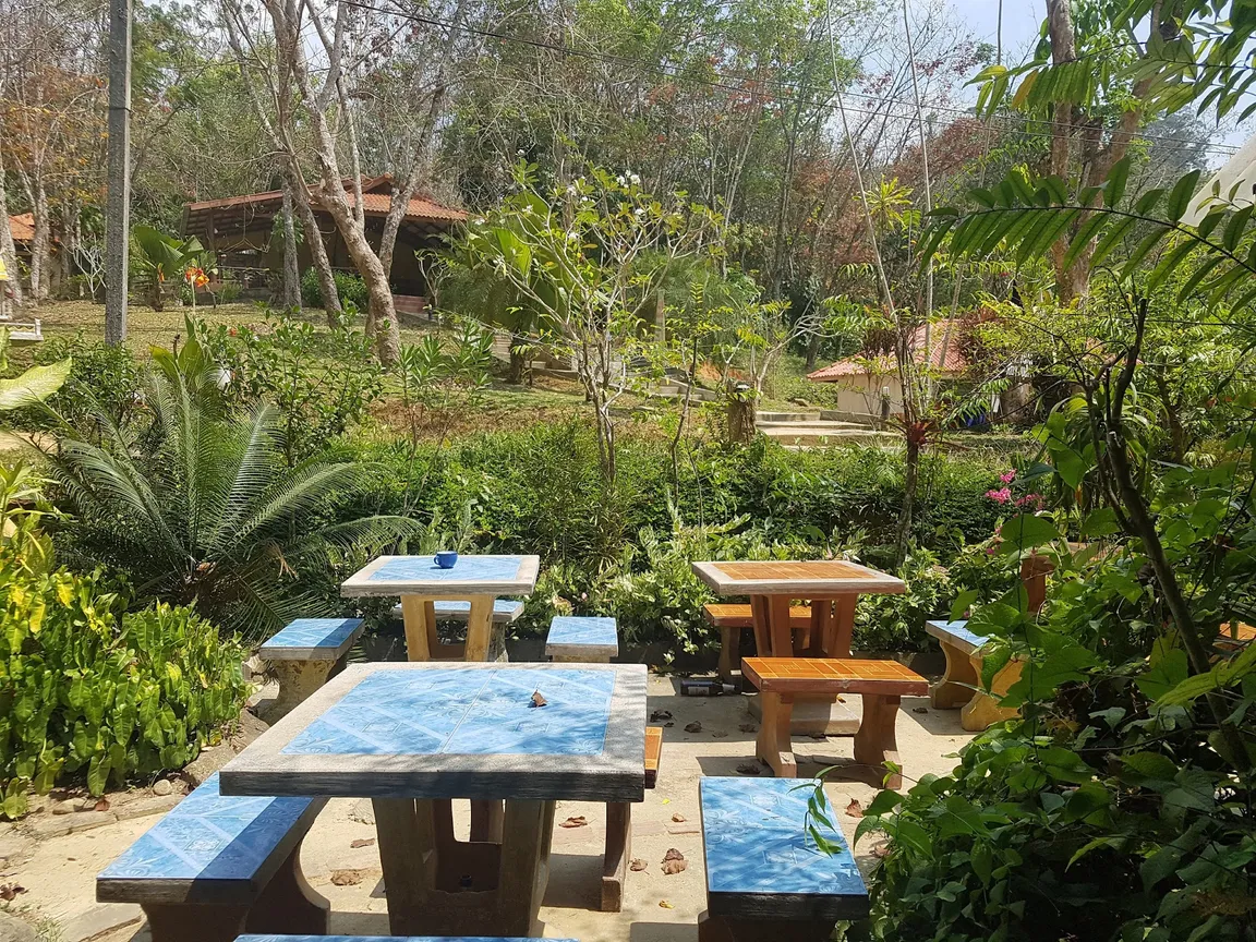 Mayow Thai Kitchen