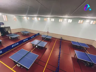 TopSpin Table Tennis Academy