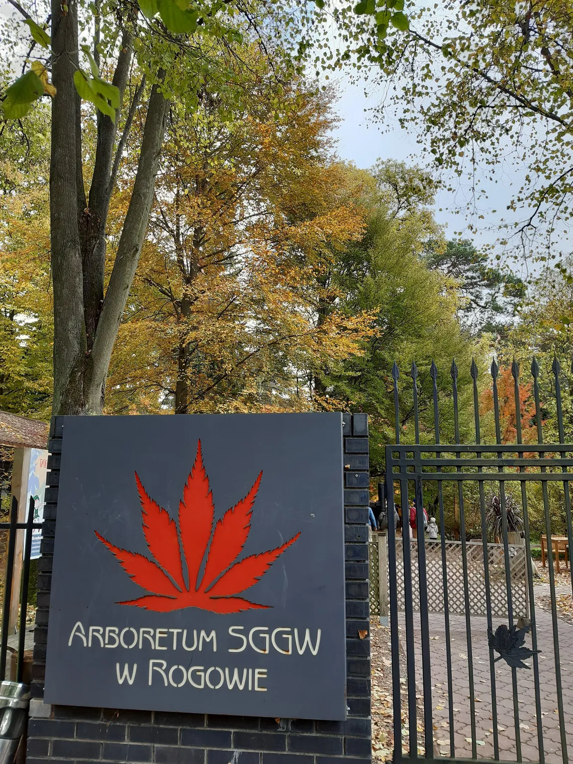 Arboretum SGGW w Rogowie
