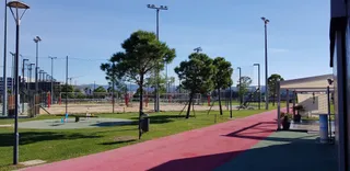 Beach Volley Bar