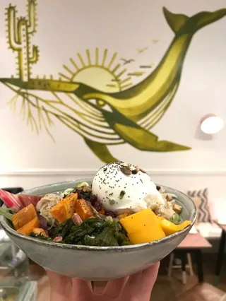 Yummy Bowl