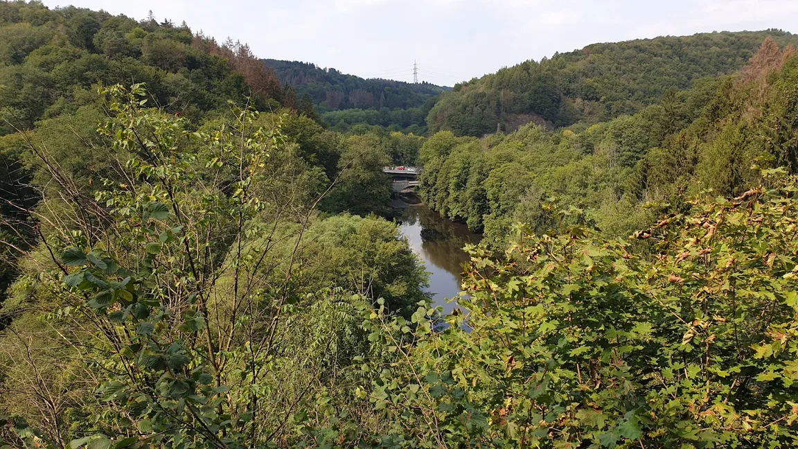 Diederichstempel