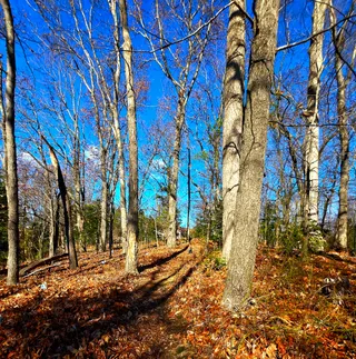 Huber Woods Park
