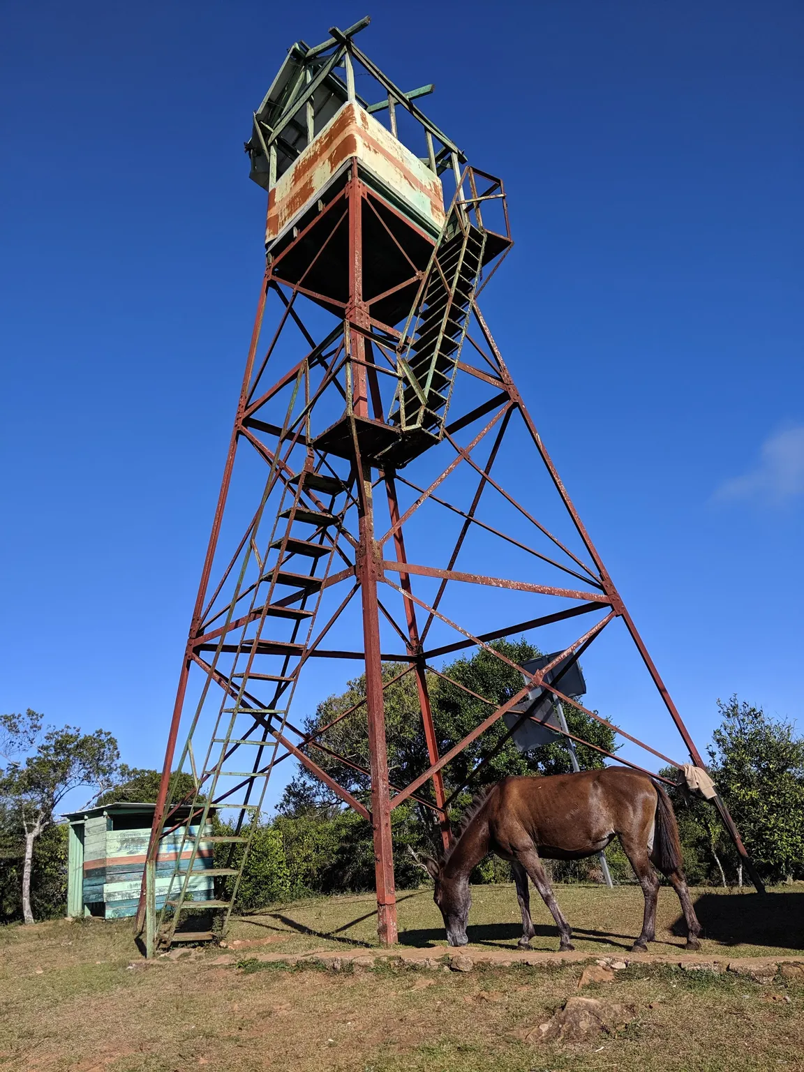 Montaña Mogote